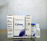 cronus-biotech-pharma-pcd-franchise-in-ahmedabad