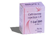 pharma-franchise-pcd-company-in-ahmedabad-gujarat-eden-healthcare